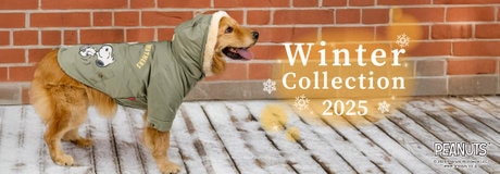 74時間限定！ラッキーday!! | ONWARD CROSSET | ファッション通販サイト[オンワード・クローゼット]