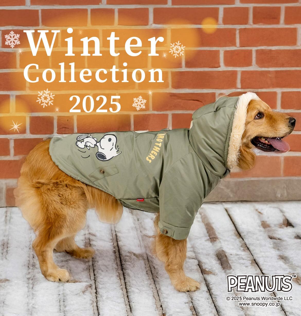 公式】PET PARADISE | ファッション通販サイト[オンワード・クローゼット]