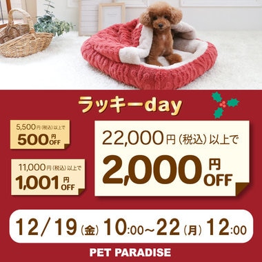 74時間限定！ラッキーday!!