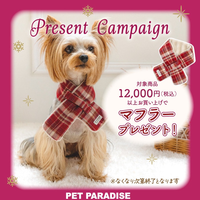 【数量限定】ペット用マフラープレゼント🧣