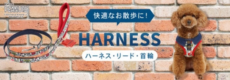 74時間限定！ラッキーday!! | ONWARD CROSSET | ファッション通販サイト[オンワード・クローゼット]