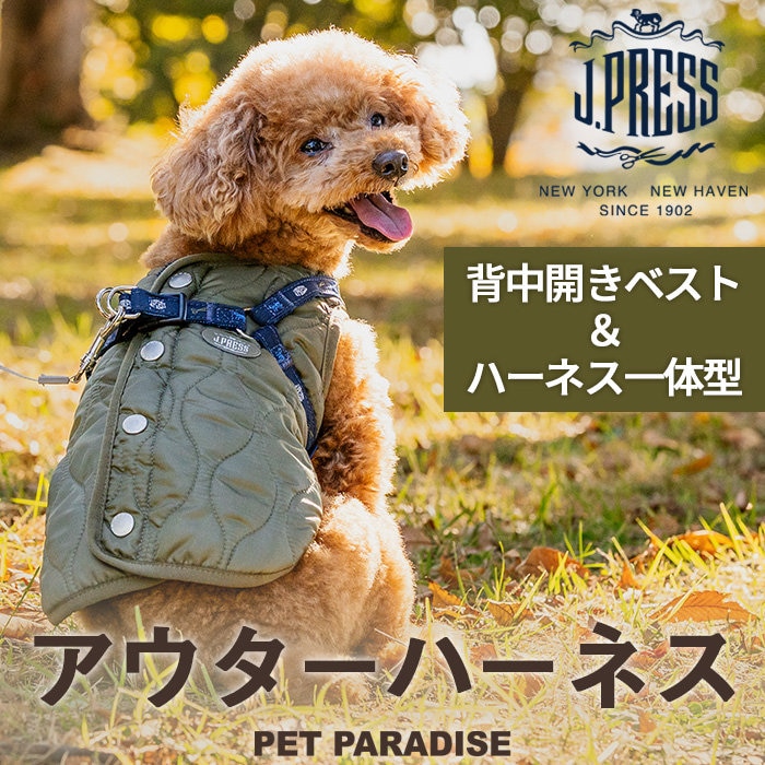 冬のお散歩のわずらわしさ解消！