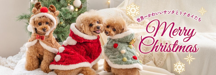 クリスマス特集