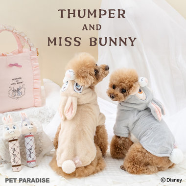 ミスバニー＆とんすけ