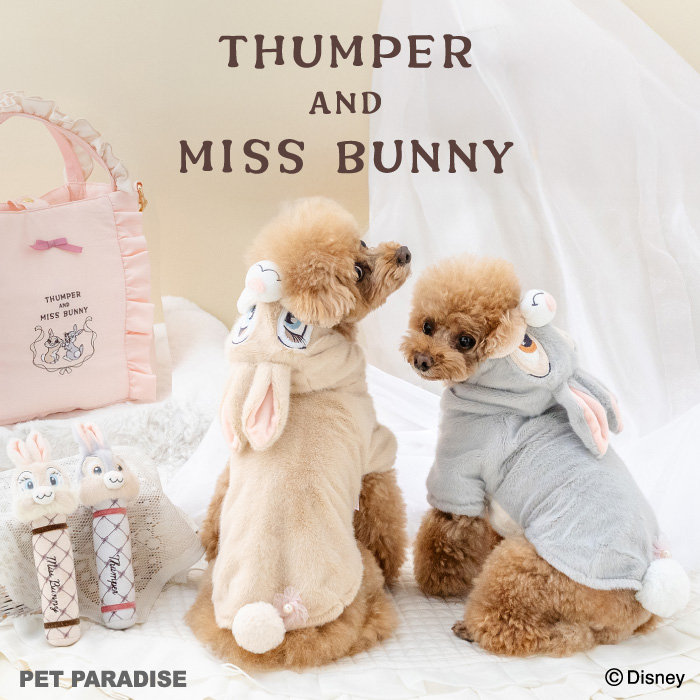 とんすけ 、ミスバニーセットfluffy cutie ぬいぐるみ とんすけ 、ミスバニーセットfluffy cutie ぬいぐるみ とんすけ と