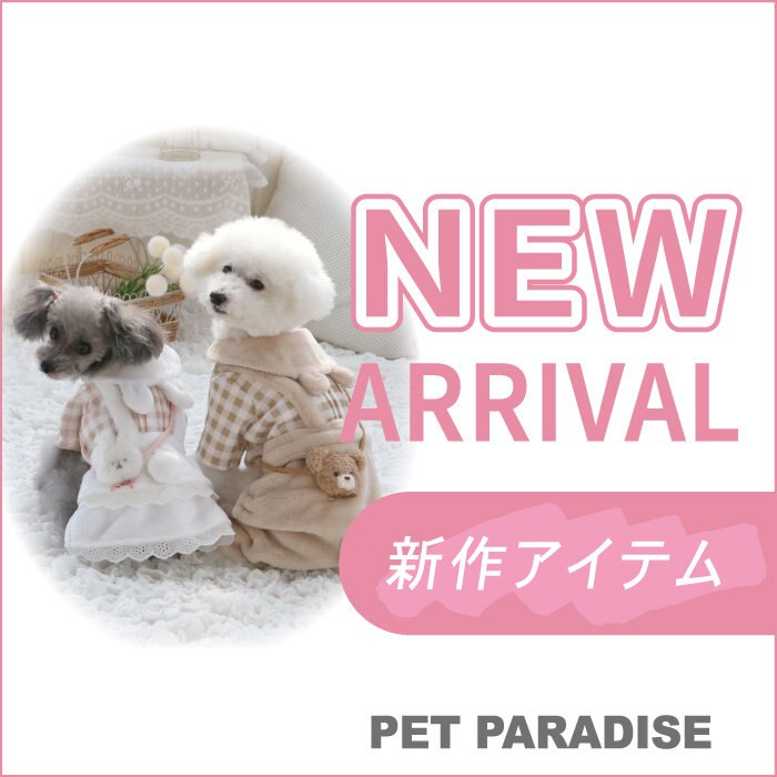 見逃せない最新ウェアが入荷中！！