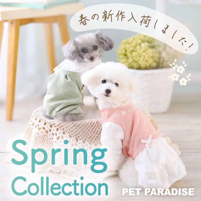 Spring collection