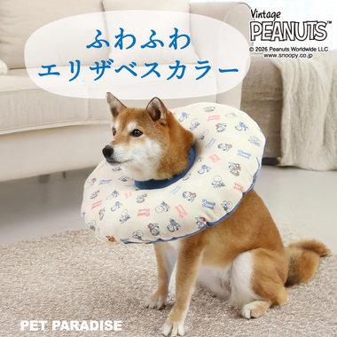 やさしく守って、そのまま夢の中。