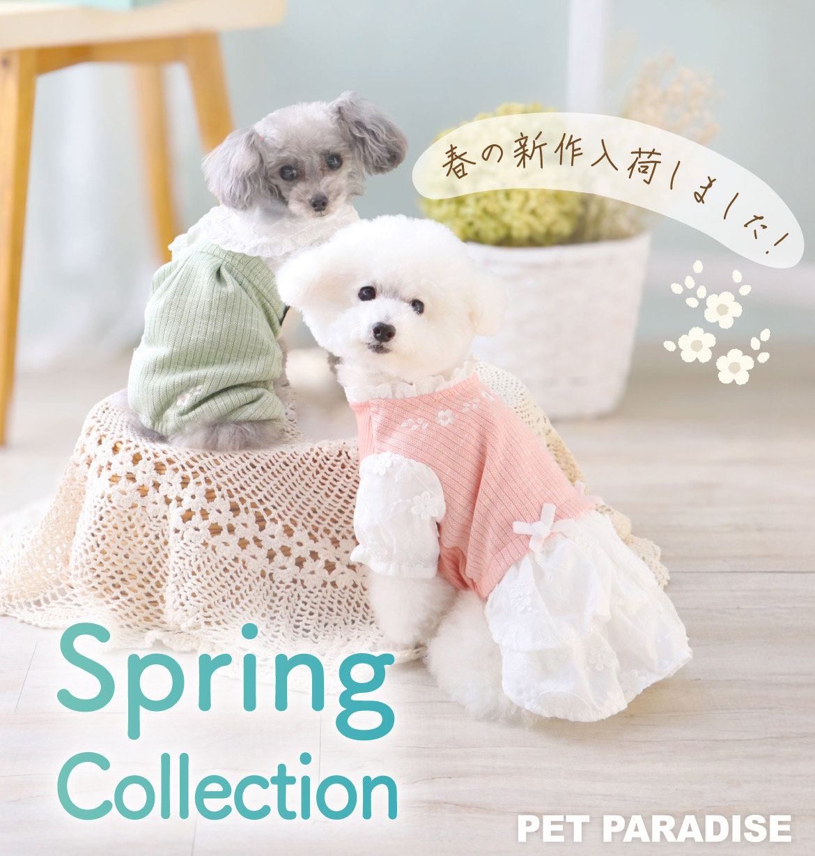 公式】PET PARADISE | ファッション通販サイト[オンワード・クローゼット]
