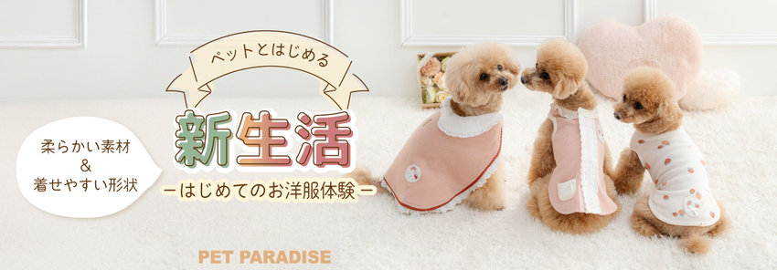 パピーちゃんお迎えアイテム