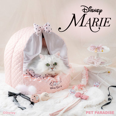 気品と可愛さをそのままに