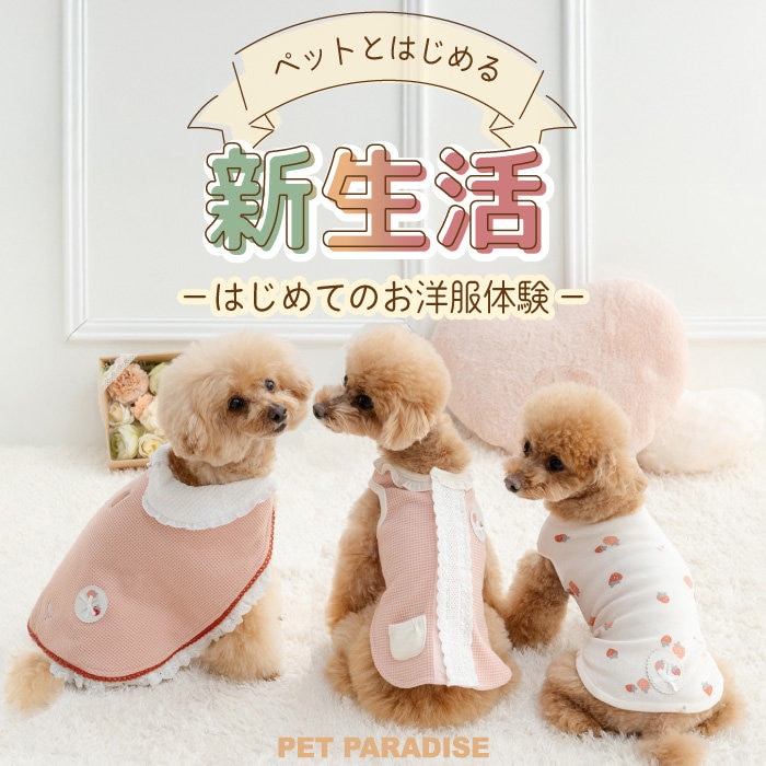 ペットとはじめる新生活