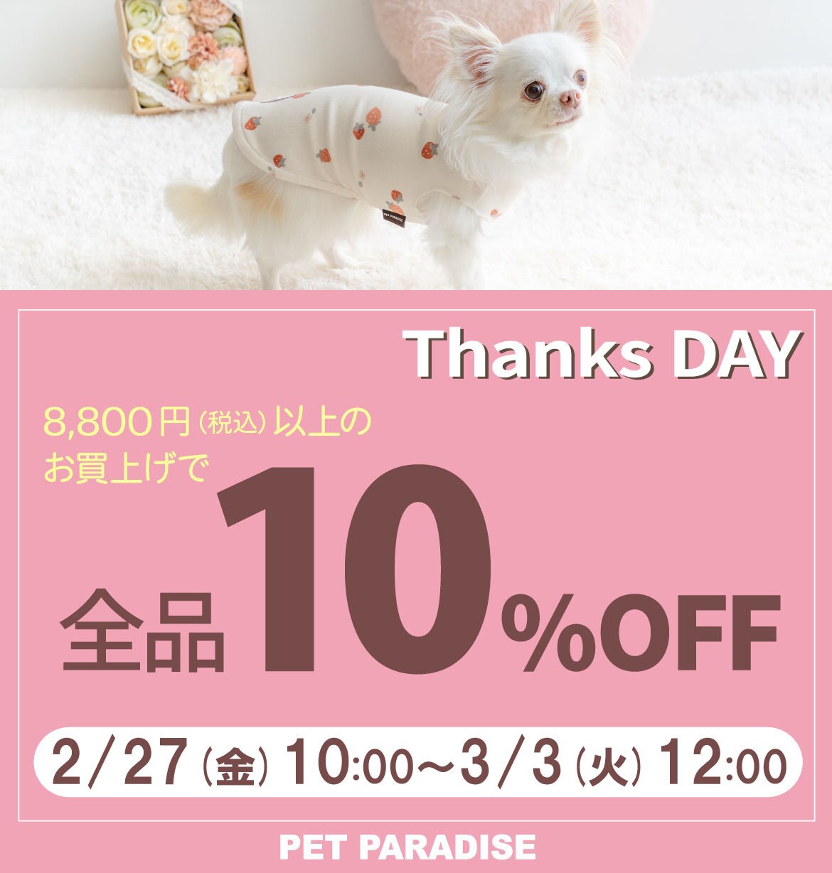 公式】PET PARADISE | ファッション通販サイト[オンワード・クローゼット]