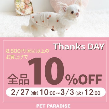 Thanks day 定価商品10％OFF　98時間限定！