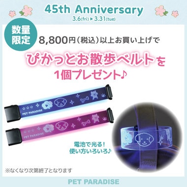 45th Anniversary 8,800円以上でノベルティ プレゼント