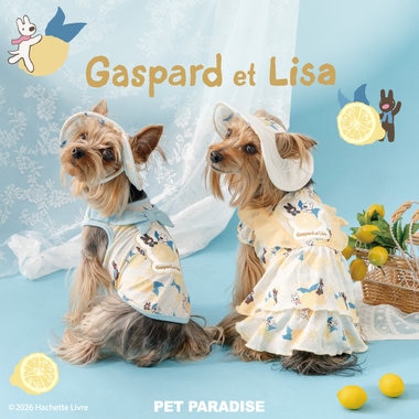 夏にぴったりのリサとガスパール新作ドッグウェア