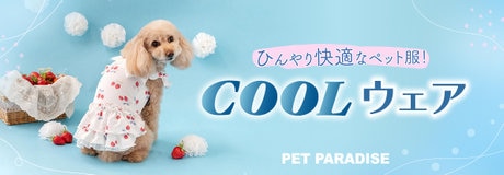 雨の日も、大好きな散歩をあきらめない。 | ONWARD CROSSET | ファッション通販サイト[オンワード・クローゼット]