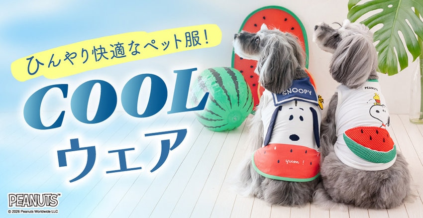 クールウェア