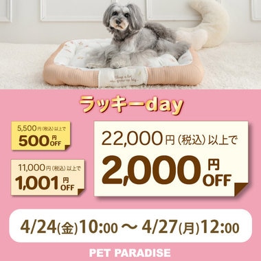 4月24日～74時間限定！ラッキーday!!