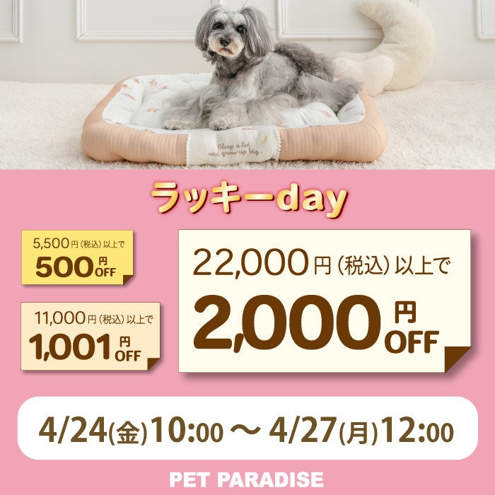 4月24日～74時間限定！ラッキーday!!
