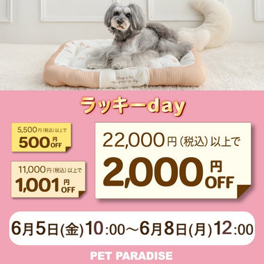 6月5日～ラッキーday!!最大2,000円OFF