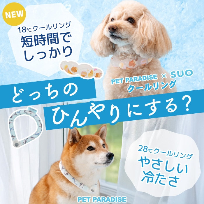 愛犬のための選べるひんやり、2つのクールリングが登場！