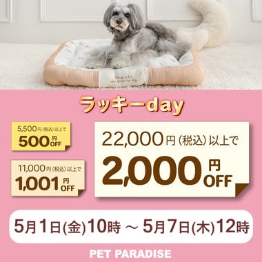 5月1日～ラッキーday!!最大2,000円OFF