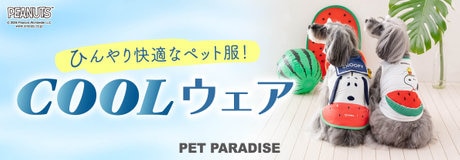 5月29日～【74時間】ペットアイテム　2BUY5％OFF！3BUY10％OFF！！ | ONWARD CROSSET | ファッション通販サイト[オンワード・クローゼット]