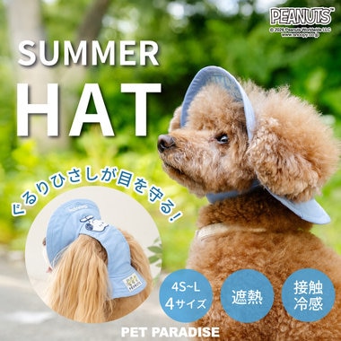 暑い日差しから愛犬を守ろう！新作サマーハット
