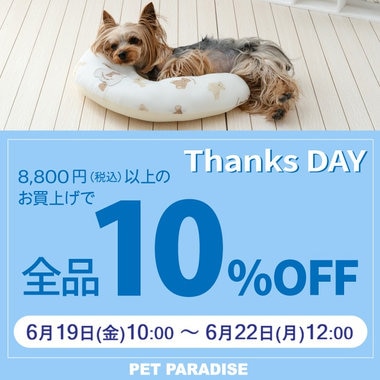 6月19日～Thanks day 定価商品10％OFF