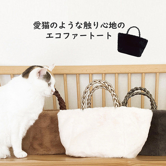 そろそろ欲しくなるファートート！