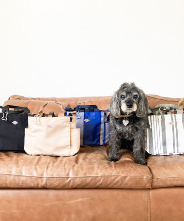 ROOTOTE 1129【BUDDY:撥水加工】SN.スクエア.ドッグ.バディ-B