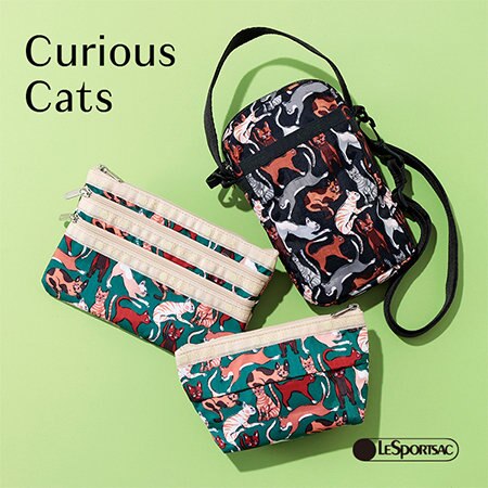 【NEW COLOR】Curious Cats