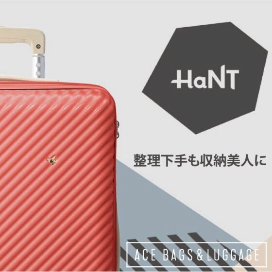 整理下手も収納美人に！ロングヒットアイテム「HaNT マイン」