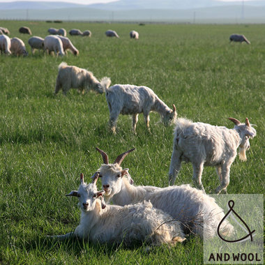 【素材のこだわり】やさしく包み込む、ホワイトカシミヤのぬくもり