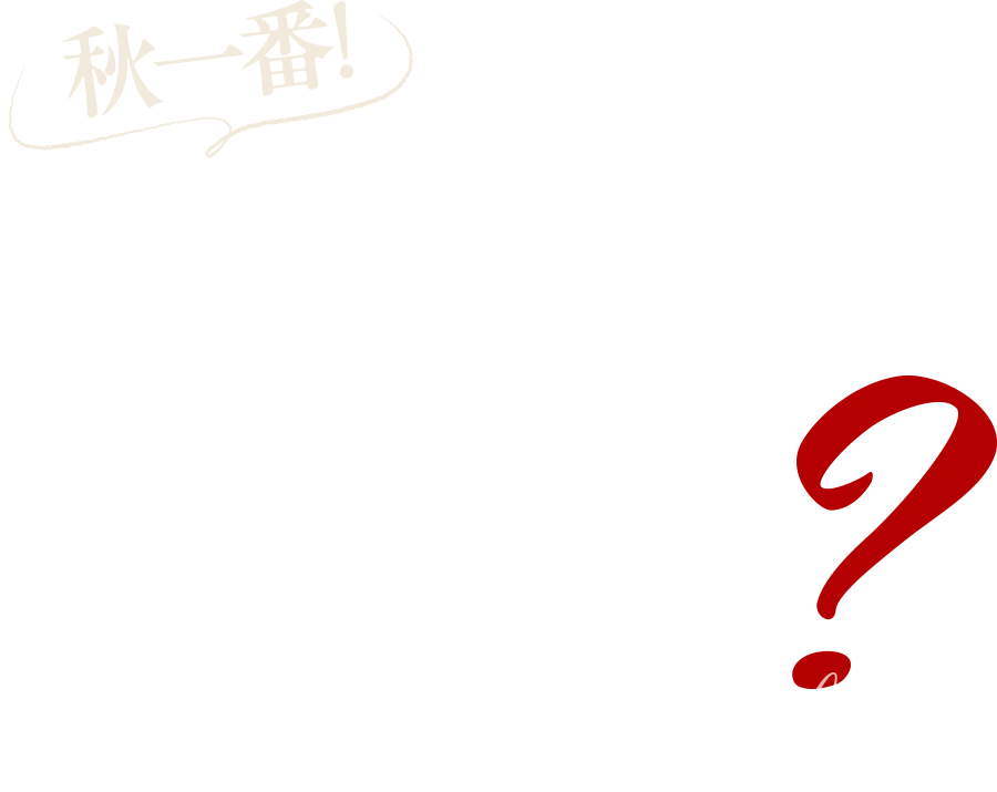 秋一番!Tシャツの次に何を買う？