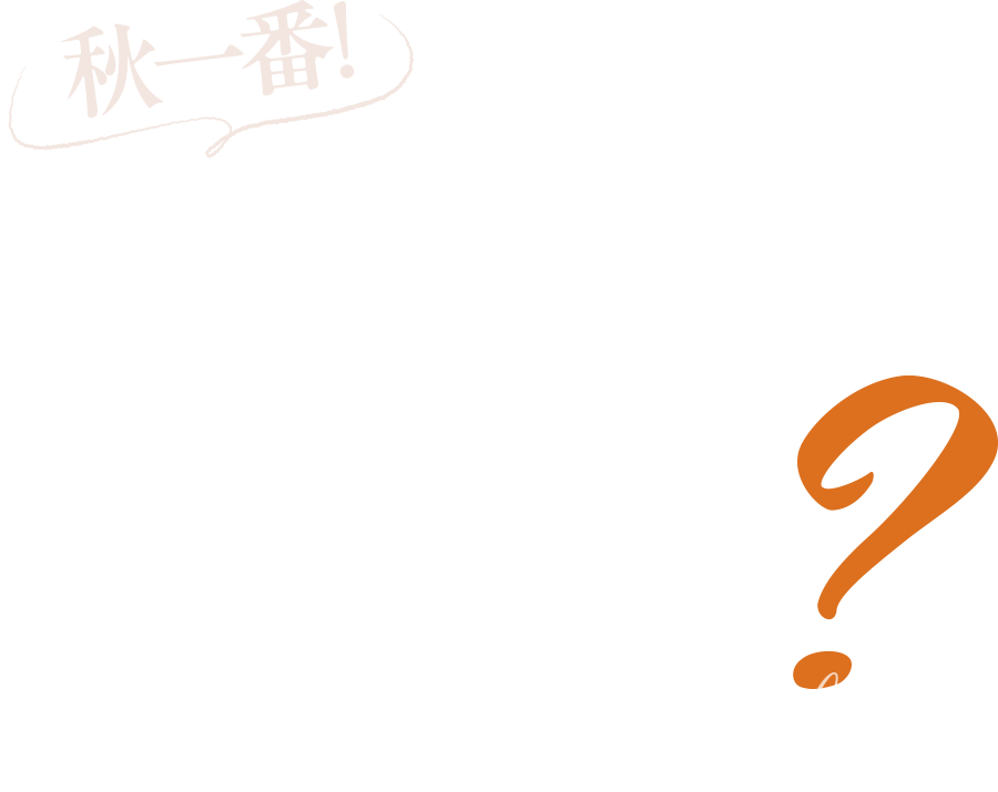 秋一番!Tシャツの次に何を買う？