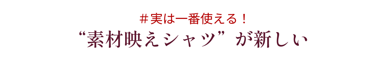 素材映えシャツが新しい